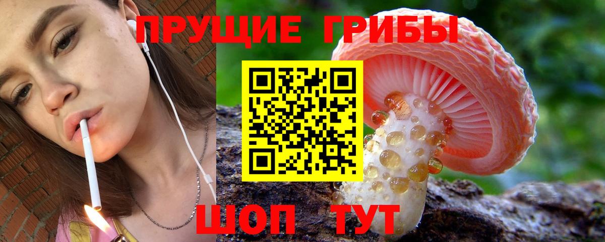 Галлюциногенные грибы Psilocybine cubensis  Галлюциногенные грибы MAGIC MUSHROOMS  где продают наркотики  Вход с VPN  Сегежа 